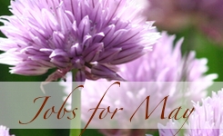 Jobs for May