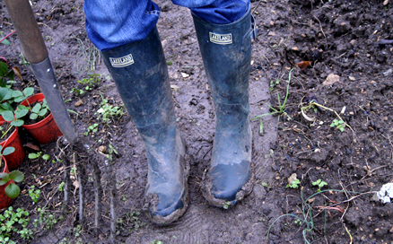 wellies