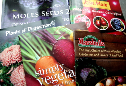 selection of uk seed catalogues
