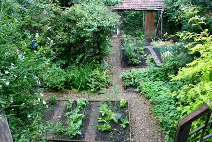 garden before