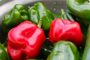 Why Do My Peppers Taste Bitter? | My Tiny Plot