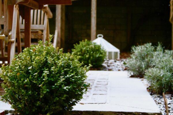 snowy path in vegetable garden leading to victorian cloche